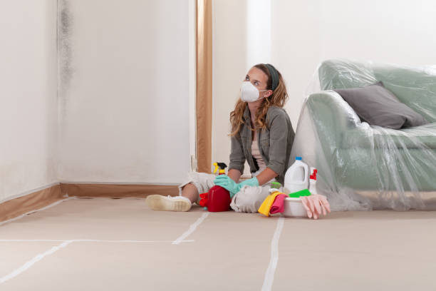 Reliable Mold Testing contractor in Watertown, NY by WQB Mold Removal